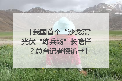 我国首个“沙戈荒”光伏“练兵场”长啥样？总台记者探访→