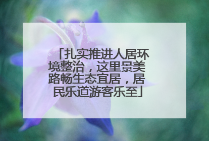 扎实推进人居环境整治，这里景美路畅生态宜居，居民乐道游客乐至
