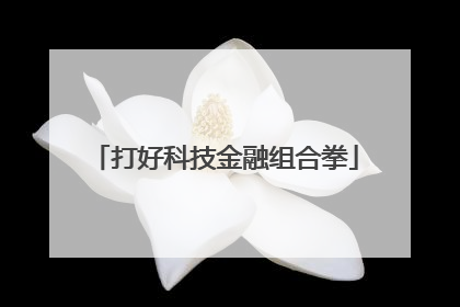 打好科技金融组合拳
