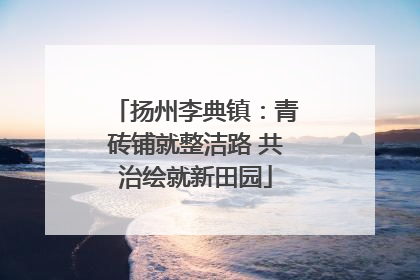 扬州李典镇：青砖铺就整洁路 共治绘就新田园