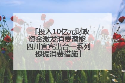 投入10亿元财政资金激发消费潜能 四川宜宾出台一系列提振消费措施