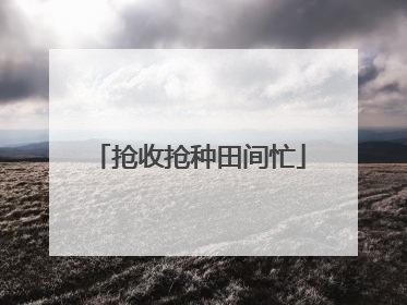 抢收抢种田间忙
