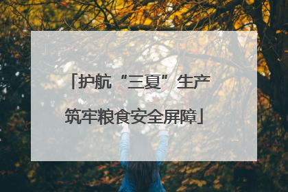 护航“三夏”生产 筑牢粮食安全屏障