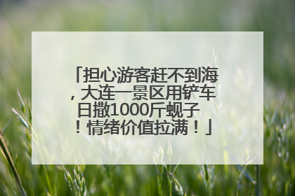 担心游客赶不到海，大连一景区用铲车日撒1000斤蚬子！情绪价值拉满！
