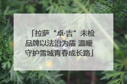 拉萨“卓·吉”未检品牌以法治为盾 温暖守护雪域青春成长路