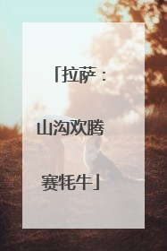 拉萨：山沟欢腾赛牦牛