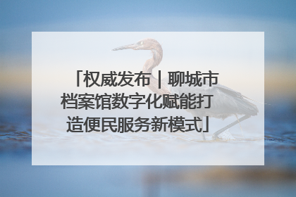 权威发布｜聊城市档案馆数字化赋能打造便民服务新模式