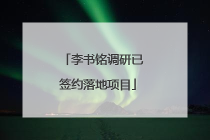 李书铭调研已签约落地项目