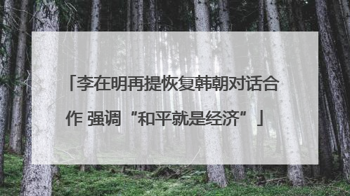 李在明再提恢复韩朝对话合作 强调“和平就是经济”