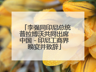 李强同印尼总统普拉博沃共同出席中国－印尼工商界晚宴并致辞
