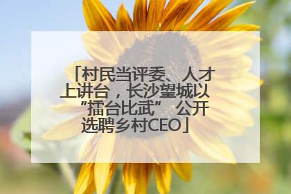 村民当评委、人才上讲台，长沙望城以“擂台比武” 公开选聘乡村CEO