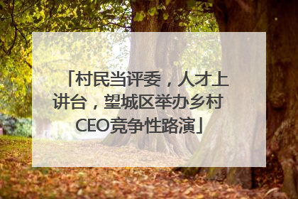 村民当评委，人才上讲台，望城区举办乡村CEO竞争性路演