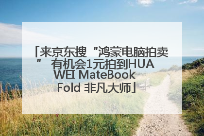 来京东搜“鸿蒙电脑拍卖” 有机会1元拍到HUAWEI MateBook Fold 非凡大师