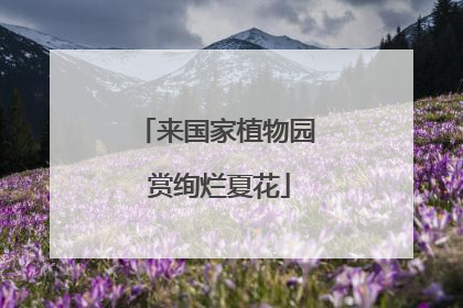 来国家植物园 赏绚烂夏花