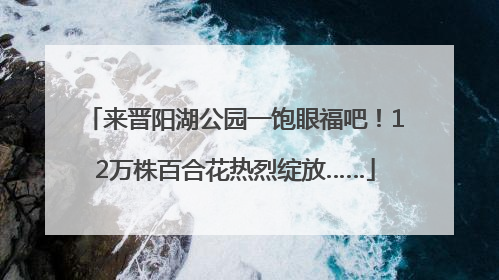 来晋阳湖公园一饱眼福吧！12万株百合花热烈绽放……