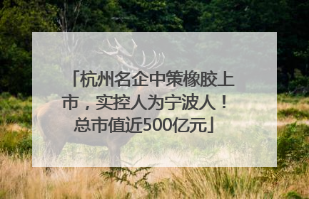 杭州名企中策橡胶上市，实控人为宁波人！总市值近500亿元