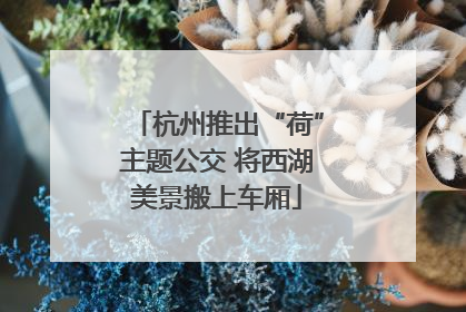 杭州推出“荷”主题公交 将西湖美景搬上车厢