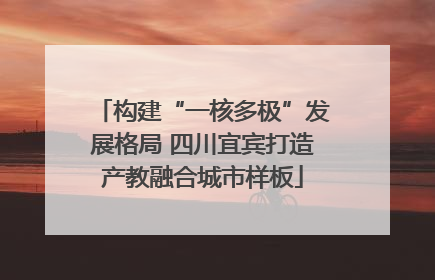 构建“一核多极”发展格局 四川宜宾打造产教融合城市样板