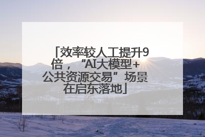 效率较人工提升9倍，“AI大模型+公共资源交易”场景在启东落地