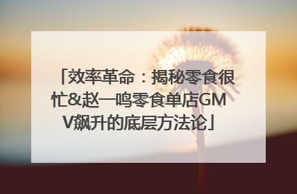 效率革命：揭秘零食很忙&赵一鸣零食单店GMV飙升的底层方法论