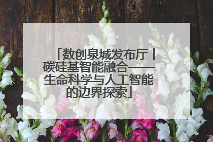 数创泉城发布厅丨碳硅基智能融合——生命科学与人工智能的边界探索
