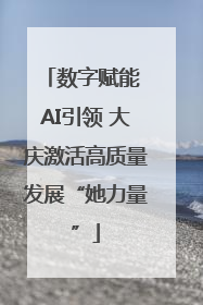数字赋能 AI引领 大庆激活高质量发展“她力量”