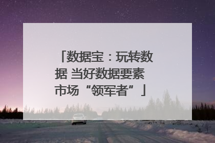 数据宝：玩转数据 当好数据要素市场“领军者”