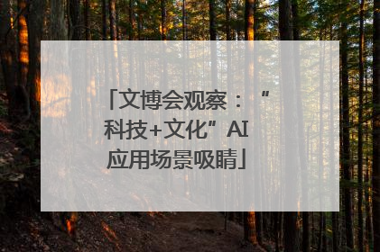 文博会观察：“科技+文化”AI应用场景吸睛