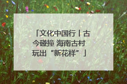 文化中国行丨古今碰撞 海南古村玩出“新花样”