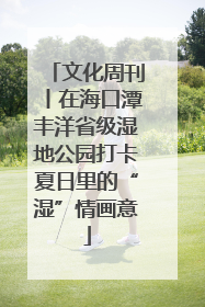 文化周刊丨在海口潭丰洋省级湿地公园打卡夏日里的“湿”情画意
