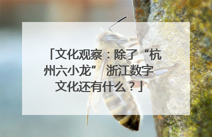 文化观察：除了“杭州六小龙” 浙江数字文化还有什么？