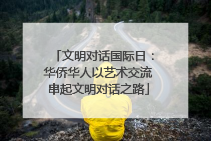 文明对话国际日：华侨华人以艺术交流串起文明对话之路