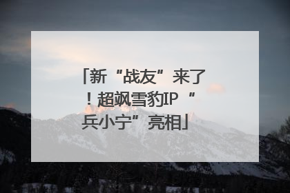 新“战友”来了！超飒雪豹IP“兵小宁”亮相