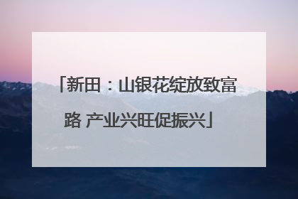 新田：山银花绽放致富路 产业兴旺促振兴