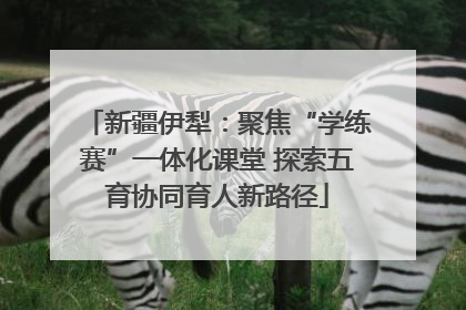 新疆伊犁：聚焦“学练赛”一体化课堂 探索五育协同育人新路径