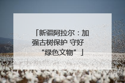 新疆阿拉尔：加强古树保护 守好“绿色文物”