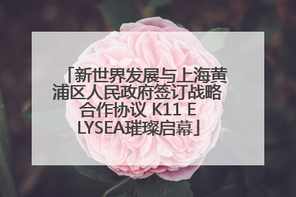 新世界发展与上海黄浦区人民政府签订战略合作协议 K11 ELYSEA璀璨启幕