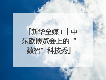 新华全媒+丨中东欧博览会上的“数智”科技秀