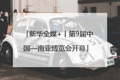 新华全媒+丨第9届中国—南亚博览会开幕