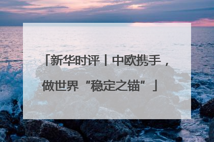 新华时评丨中欧携手，做世界“稳定之锚”