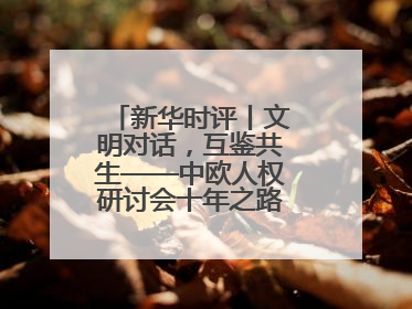 新华时评丨文明对话，互鉴共生——中欧人权研讨会十年之路的深刻启示