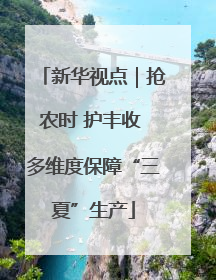 新华视点｜抢农时 护丰收 多维度保障“三夏”生产