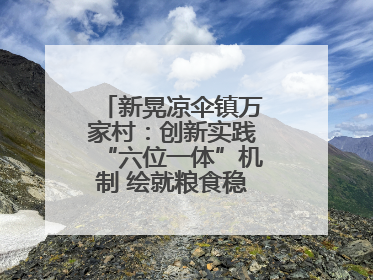 新晃凉伞镇万家村：创新实践“六位一体”机制 绘就粮食稳产增收新图景