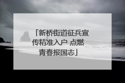 新桥街道征兵宣传精准入户 点燃青春报国志