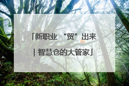 新职业 “贸”出来｜智慧仓的大管家