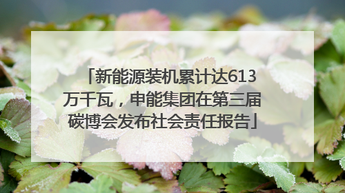 新能源装机累计达613万千瓦，申能集团在第三届碳博会发布社会责任报告