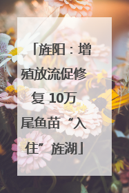 旌阳：增殖放流促修复 10万尾鱼苗“入住”旌湖
