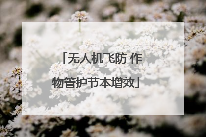 无人机飞防 作物管护节本增效