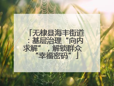 无棣县海丰街道：基层治理“向内求解”，解锁群众“幸福密码”
