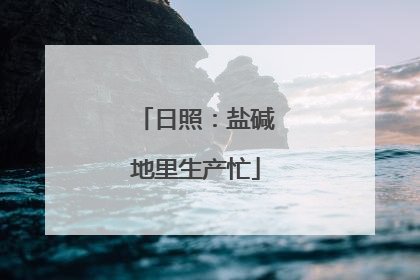 日照：盐碱地里生产忙